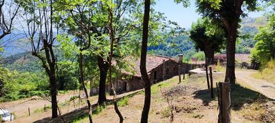 Mas - 480 m² - 10 pièces