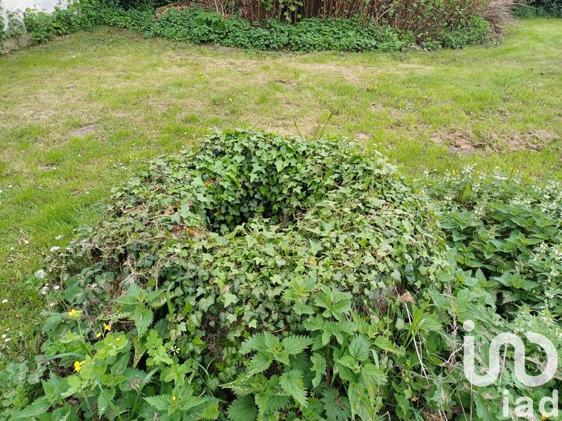 Maison de campagne - 126 m² - 6 pièces