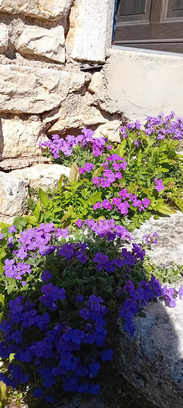 Maison - 179 m² - 6 pièces