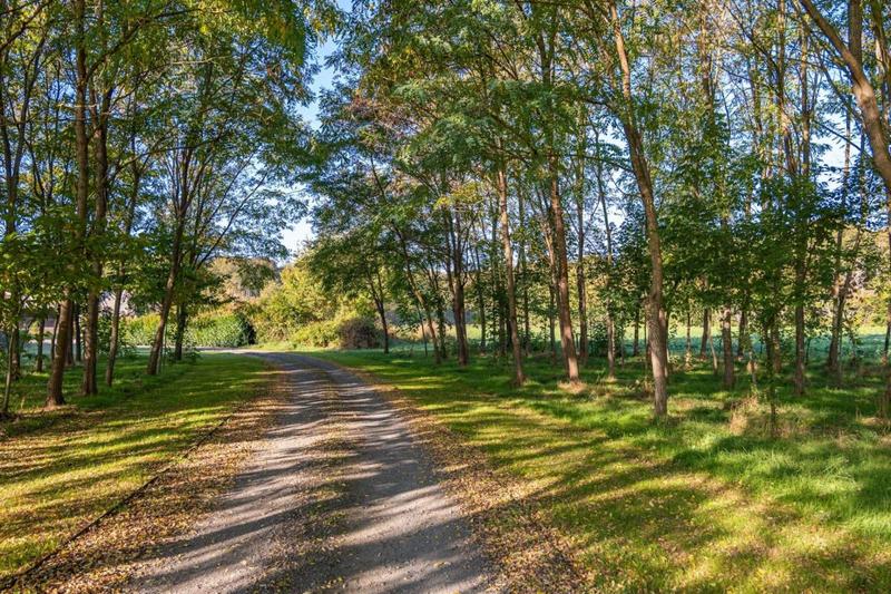 Maison en pierre - 224 m² - 6 pièces