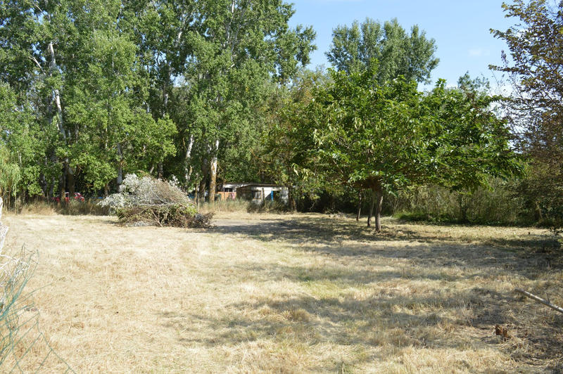Terrain - 444 m²