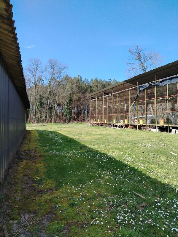 Ferme - 200 m² - 5 pièces