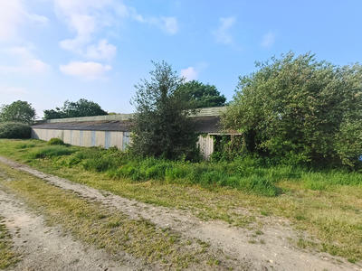 Local d'activité / Entrepôt - 800 m² - 2 pièces