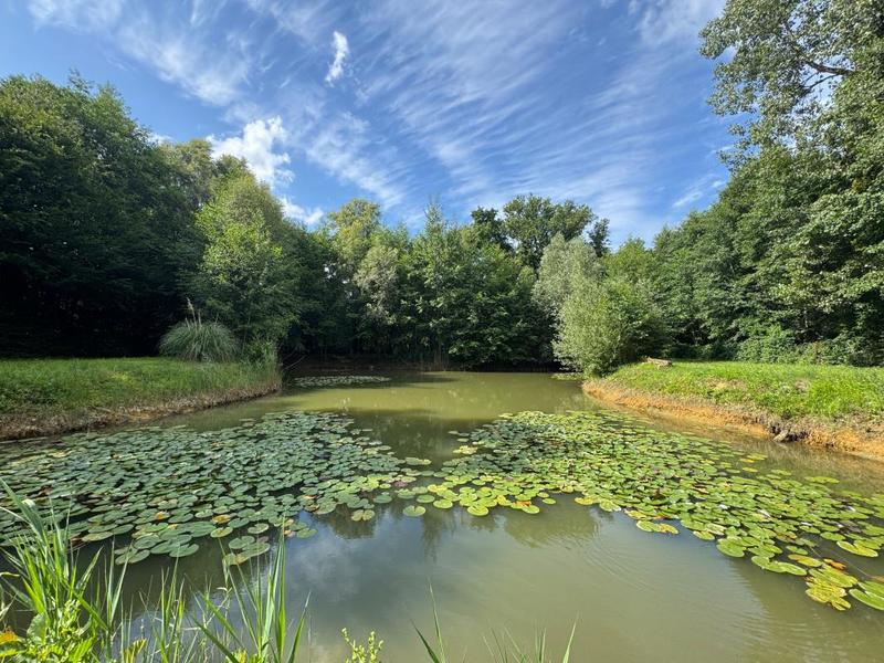 Terrain de loisirs - 4 340 m²