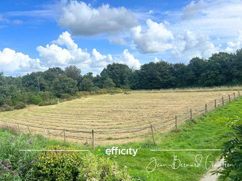 Maison en pierre - 144 m² - 7 pièces