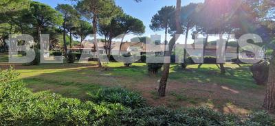 Appartement - 50 m² - 3 pièces