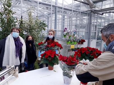 Les serres de la Frondaie