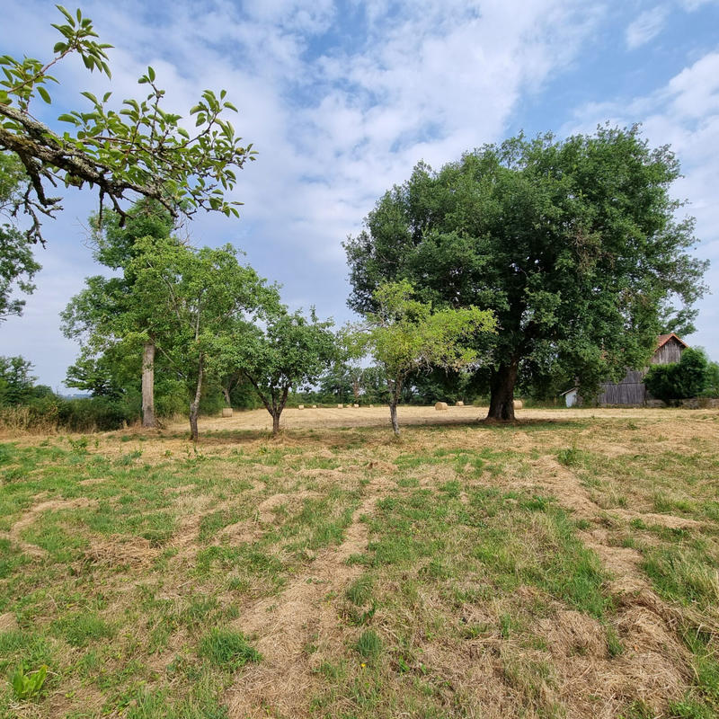 Maison - 66 m² - 2 pièces