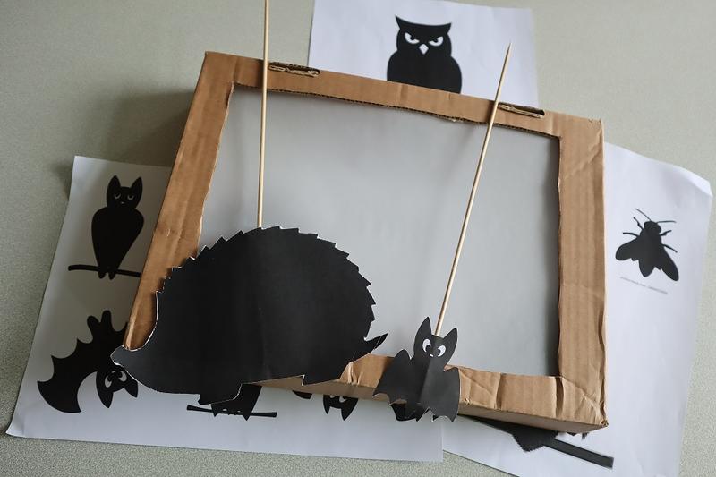 Animation jeune public "Les animaux de la nuit prennent la lumière !"