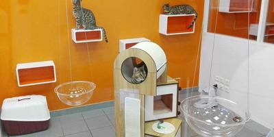 Chatterie Sainte Cyle