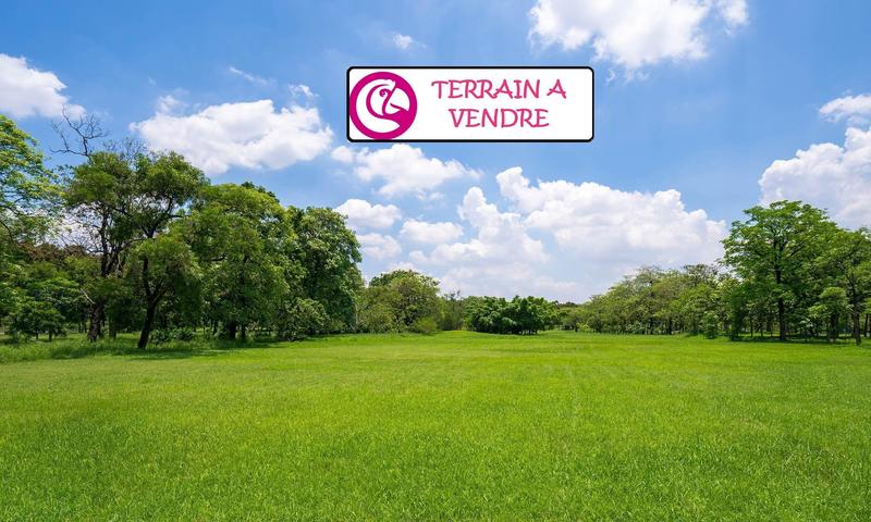 Terrain - 741 m²