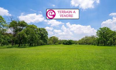 Terrain - 741 m²
