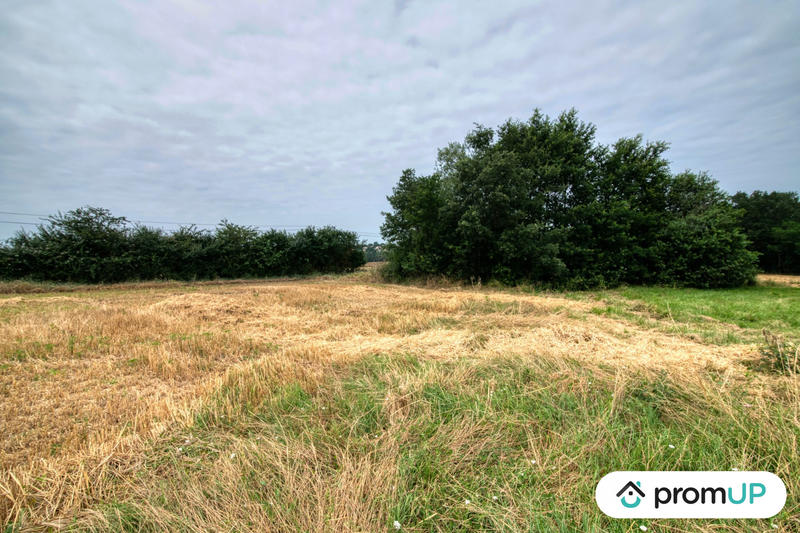 Terrain de loisirs - 7 103 m²