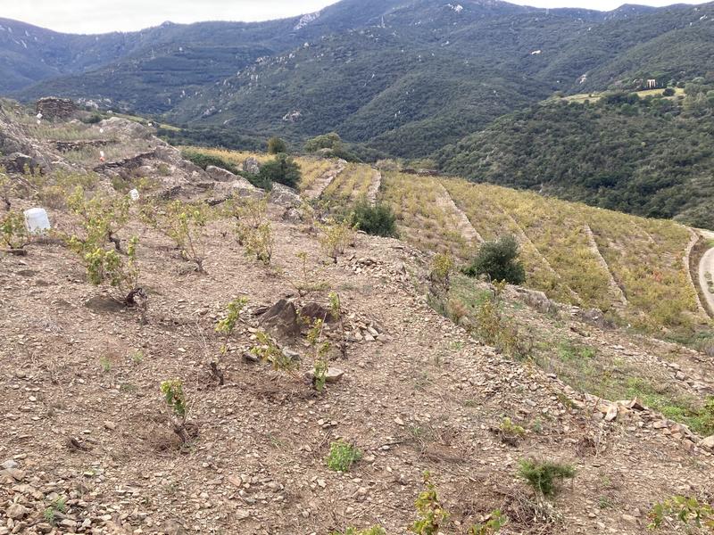 Terrain agricole - 10 846 m²