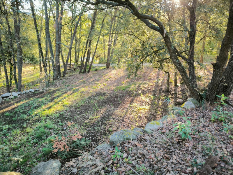 Terrain constructible - 1 070 m²