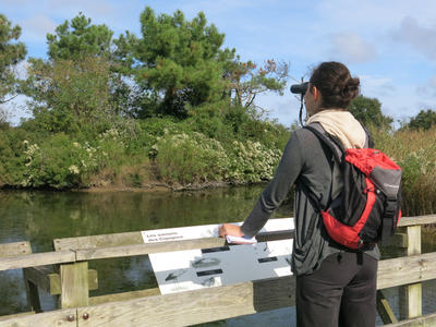 Visite guidée de la réserve ornithologique à pied et de son delta en canoë collectif