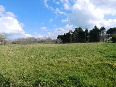 Terrain constructible - 2 005 m²