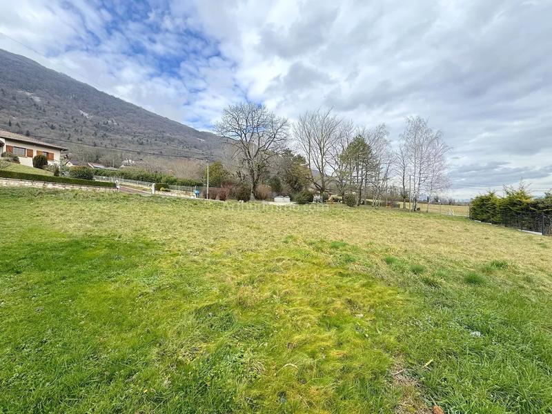 Terrain - 590 m²