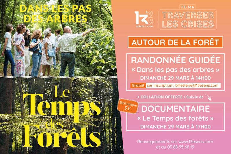 Té-Ma - Traverser les crises - Week-end thématique