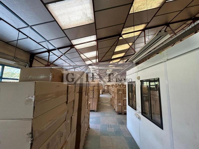 Entrepôt - 1 272 m²