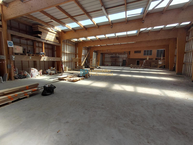 Local d'activités - 867 m²