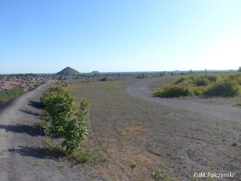 Histoire du passage du Pays noir à l'Archipel vert
