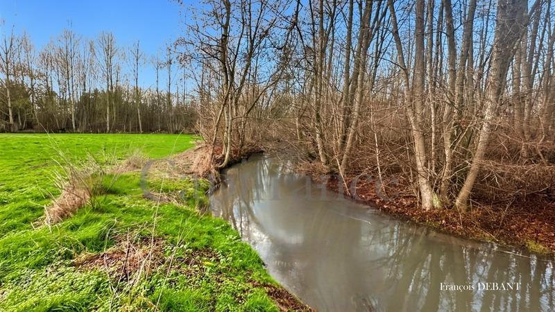 Terrain de loisirs - 8 000 m²