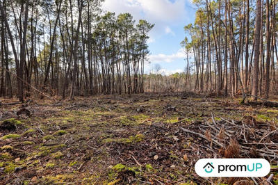 Terrain de loisirs - 1 570 m²