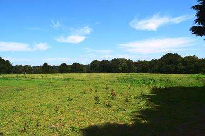 Maison - 171 m² - 9 pièces