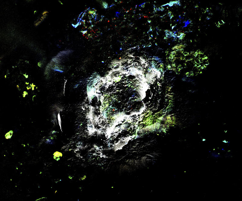 Exposition de  l'artiste Tadzio