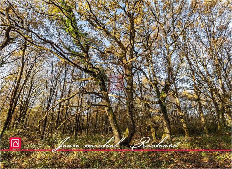 Étang - 166 990 m²