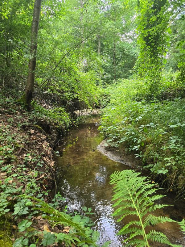 Maison - 365 m² - 11 pièces