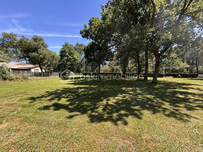 Terrain constructible - 1 000 m²