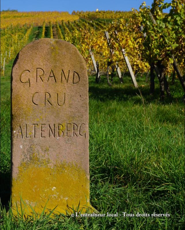 Visite sportive commentée "Vignoble" et dégustation - Offre été 2026