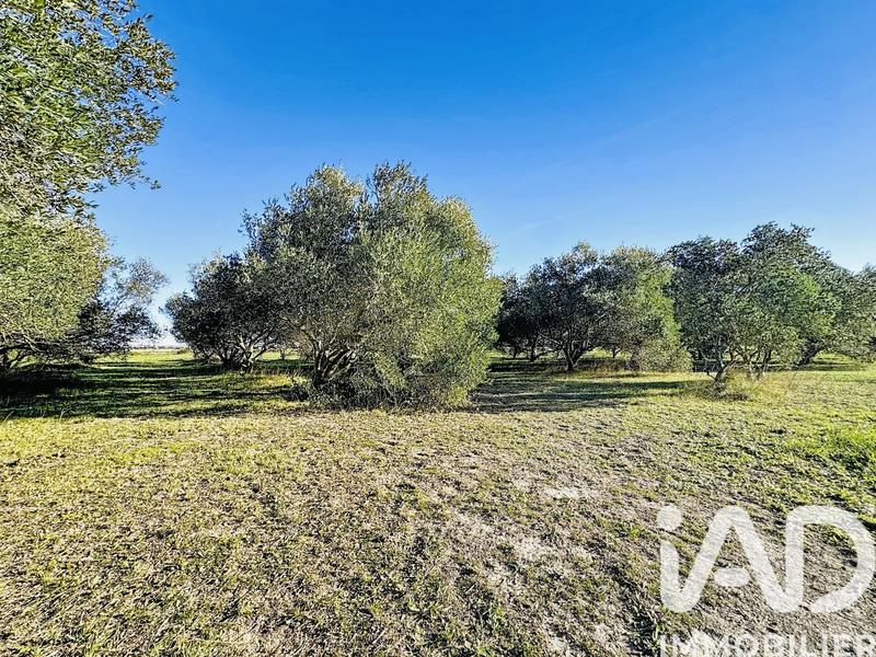 Maison - 500 m² - 10 pièces