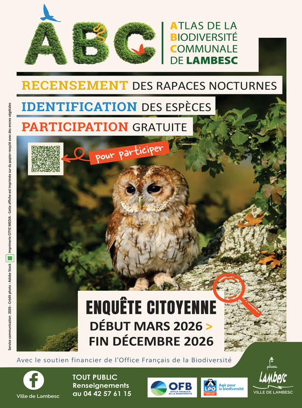 Enquête citoyenne : rapaces nocturnes