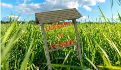 Terrain agricole - 1 650 m²