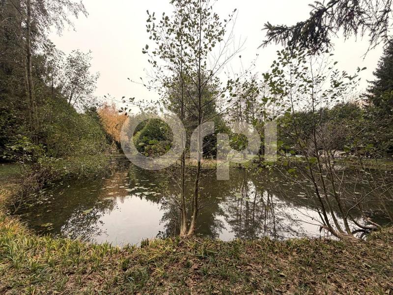 Terrain de loisirs - 11 000 m²