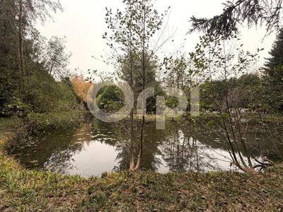 Terrain de loisirs - 11 000 m²