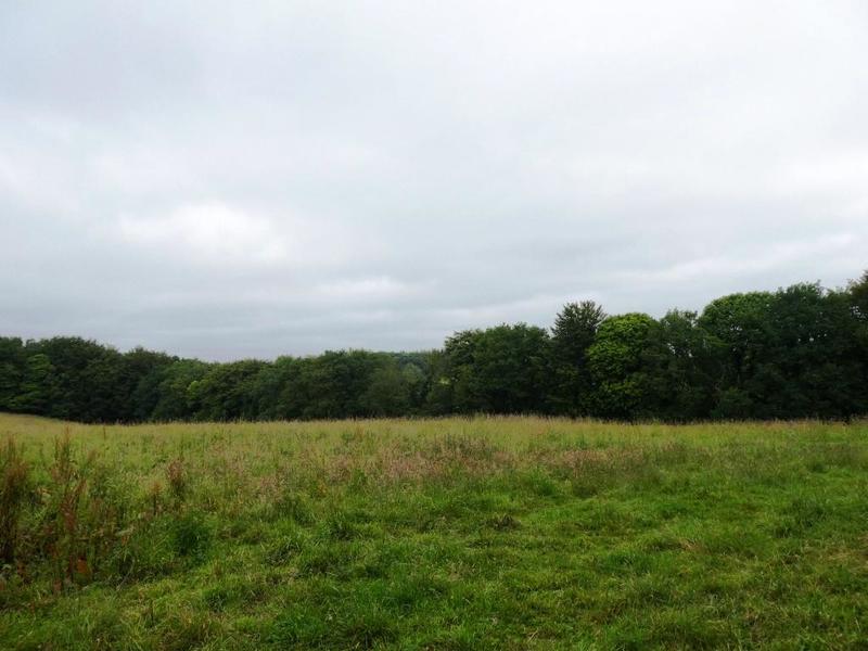 Terrain agricole - 28 430 m²