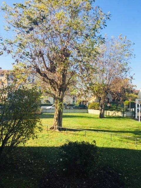 Appartement - 77 m² - 4 pièces