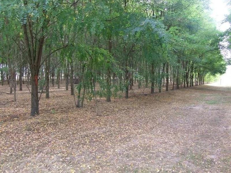 Maison - 235 m² - 7 pièces