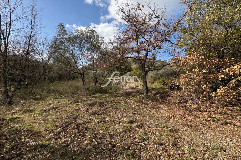 Terrain - 1 411 m²
