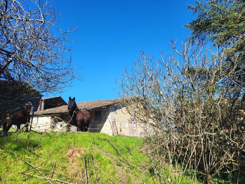 Corps de ferme - 156 m² - 6 pièces