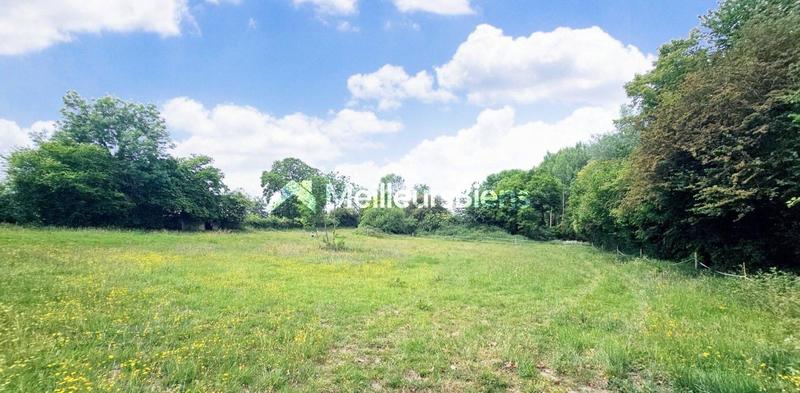 Propriété - 450 m² - 10 pièces