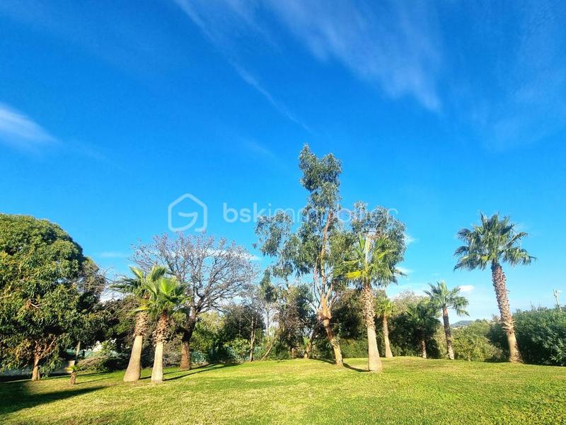 Studio - 28 m² - 1 pièce