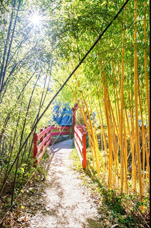 Propriété - 890 m² - 10 pièces