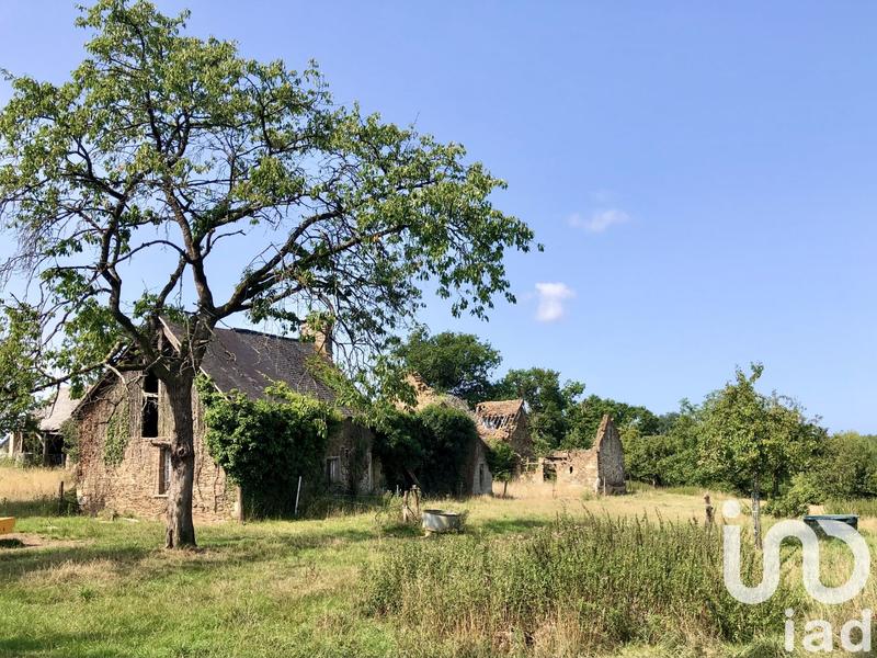 Ferme - 150 m² - 5 pièces