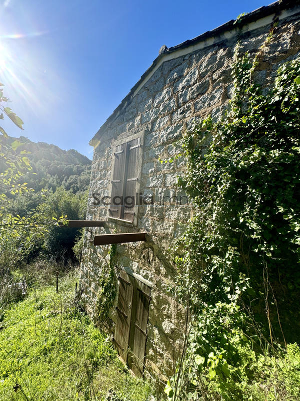 Maison - 25 m² - 1 pièce