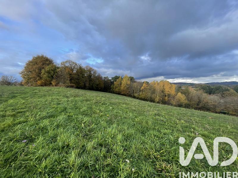 Terrain agricole - 53 431 m²